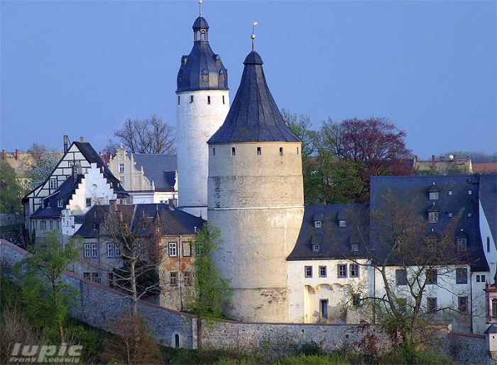Details am Altenburger Schloss